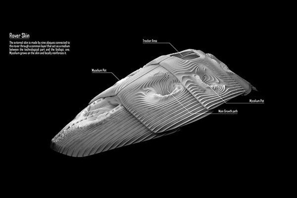 нано роботы и 3D печать